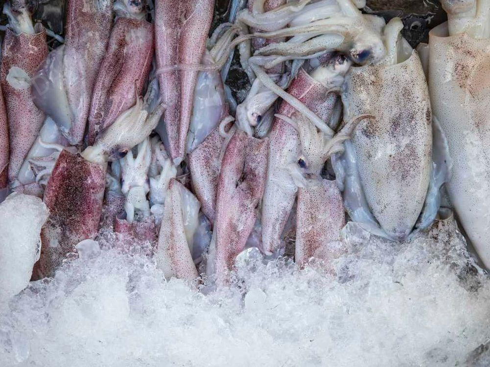 Squid Water Retaining Agent