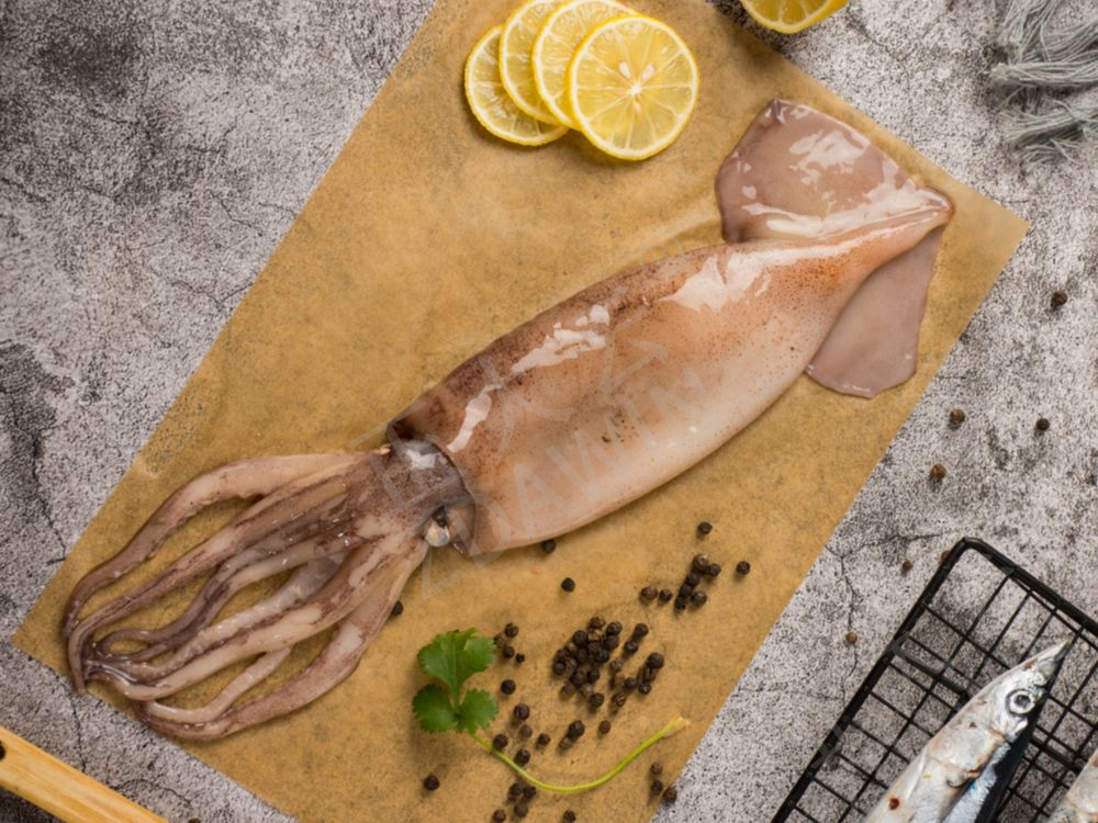 Squid Water Retaining Agent
