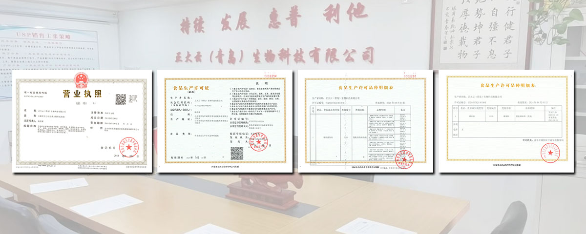 Company introduction