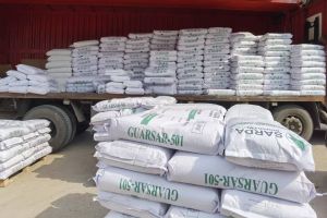 GUARSAR 501 (Food Grade, Guar Gum Powder) from India